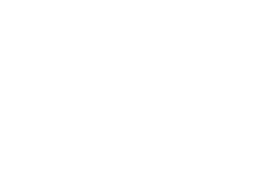 IGES Institute for Global Environmental Strategies