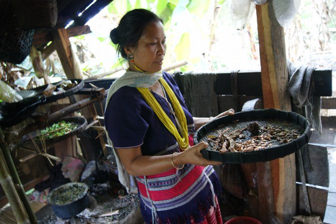 A Karen woman explaining about traditional crop varieties © Prasert Tarakansuphakon