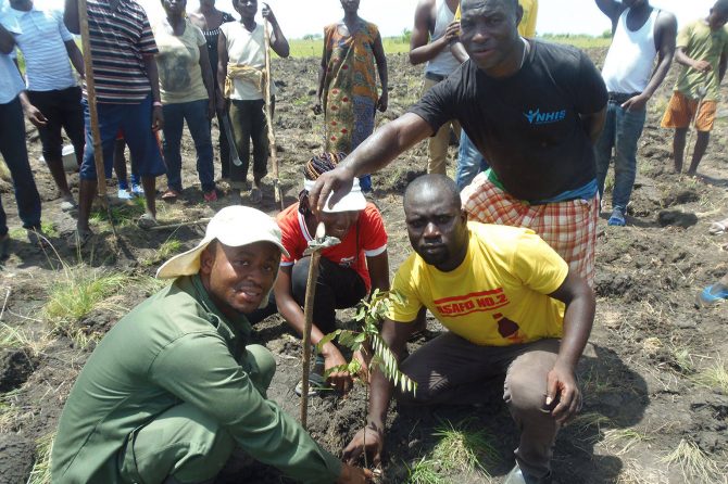 Replanting in the degraded hunting grounds