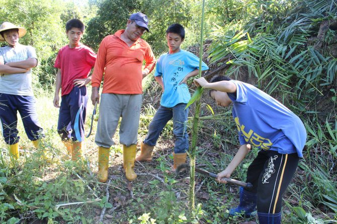 Weekend traditional knowledge course