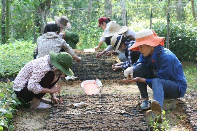 Practical training provided to university students on how to nurse seedlings