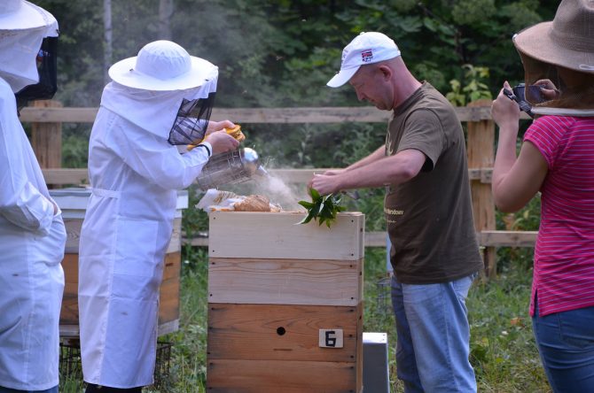 Workshop on the basics of beekeeping:
Building a honeycomb foundation and hive, and processes of honey production, pollen storage, and wax building