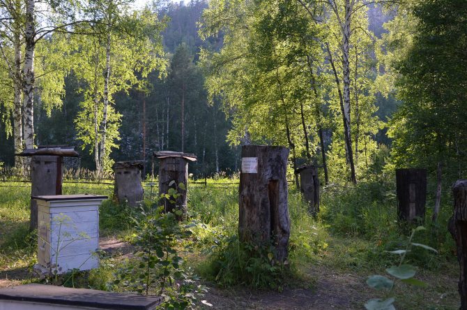 Traditional beehives - wood blocks:
Ancient demonstrational beehives, which were used in Bashkiria republic and its region for centuries