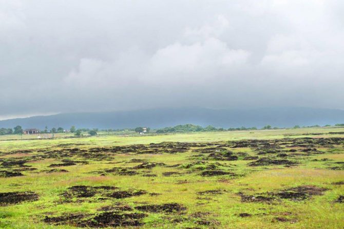 Landscape of Madayippara, a laterite hill in Northern Kerala