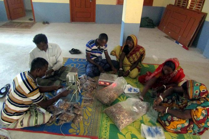 Packaging of dried shrimp by the fishermen’s family members