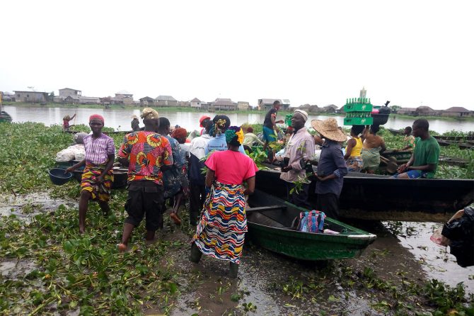 Reforestation activity in Ouémé Valley, Ramsar Site 1018