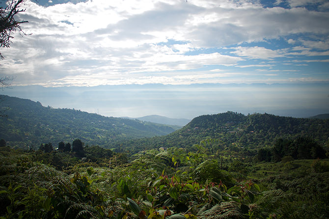 Panoramic view of the landscape of a Key Biodiversity Area, San Antonio Forest/KM 18