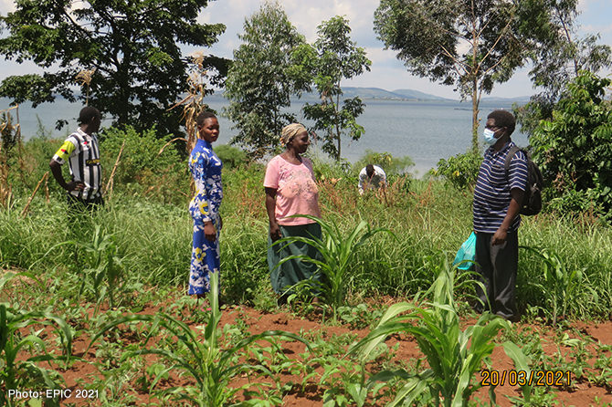 A farmer on the shore line of Lake Victoria in Uganda, established a Vetiver grass barrier in her crop field to control soil erosion 