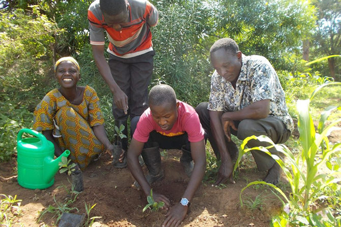 Local farmers participated planting activities