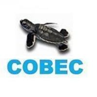 Community Based Environmental Conservation (COBEC)