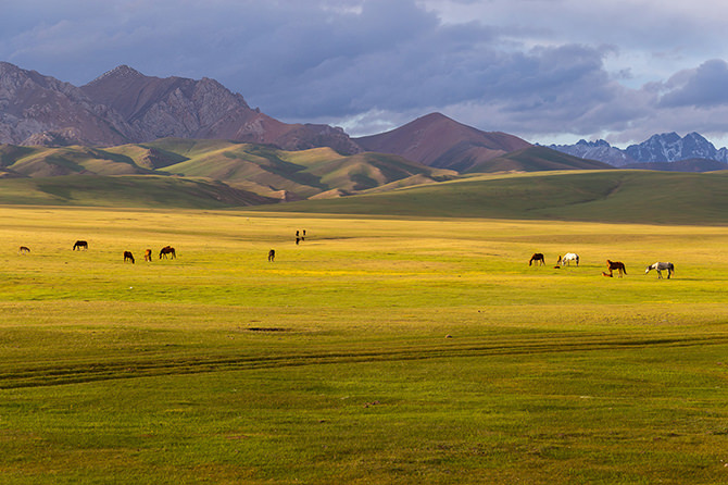 Landscape of Son-Kul, Naryn province, Kyrgyz, a Ramsar site