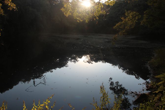 Project site, Buli Tsho (Buli lake)