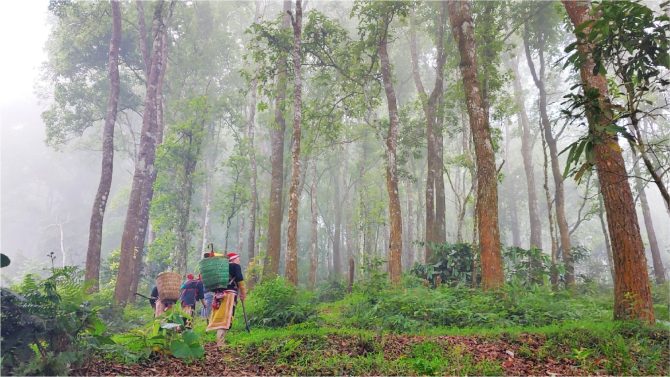 The Red Dao women, who involve in survey on native species and herbs