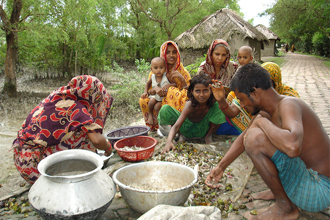 At Koyra Ghat No. 4, Fisherman Banojibi Md. Rajab Ali catches fish from the river using a net, while his family members separate shrimps and other fish.