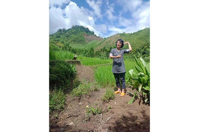 Rice field on the upland parts of the barren land