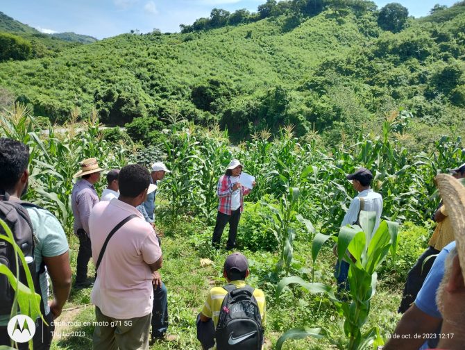 Participative seed breeding workshop in Coyuca de Benitez, Guerrero (one month before the hurricane). Photo: Marcos Bacilio Cortez