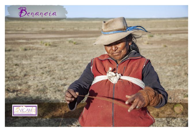 A woman spinning yarn