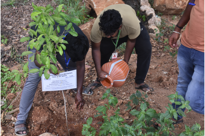 Planting saplings of Mimusops elengi L. (Bullet wood) at Kalrayan Hills, Kallakuruchi