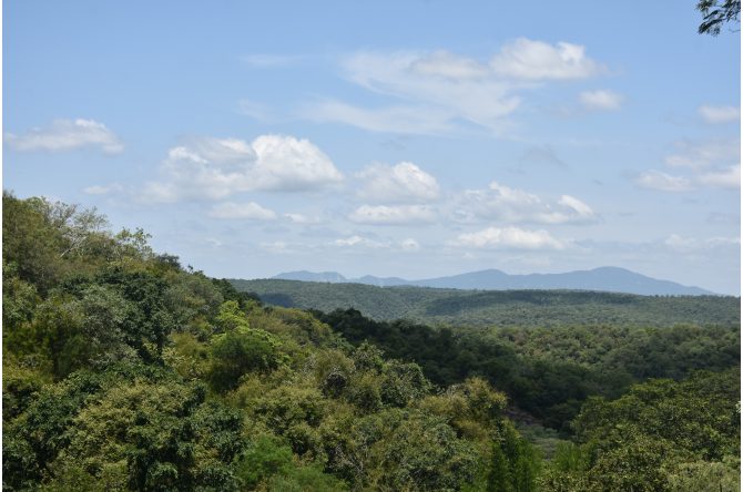 Overview of Kalrayan Hills with dense forest and rich biodiversity