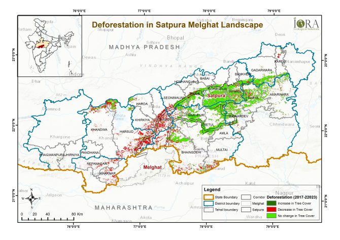 Deforestation (2017-2023) in Satpura Melghat Landscape