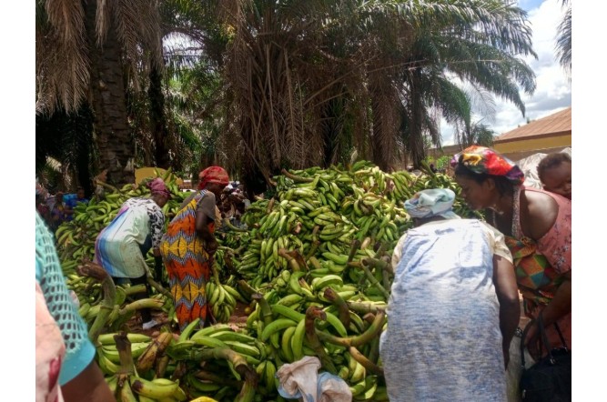 Women sell their plantain at Anum Apapam