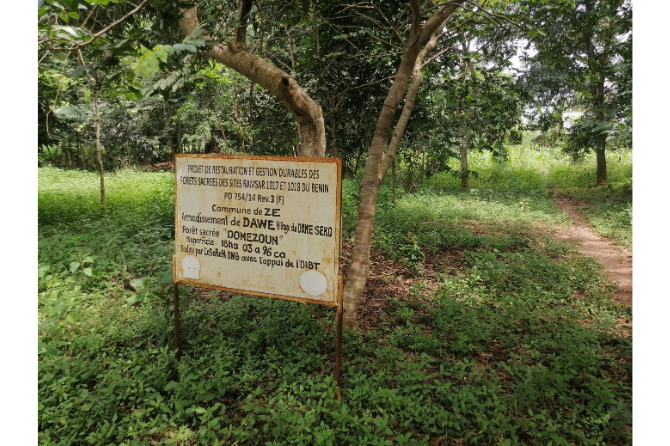 Domèzoun Sacred Forest, where local communities obtain medicinal plants, food, and wood, and where rituals to deities are performed