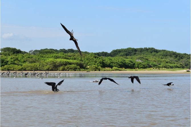 Landscape of the Portoviejo River Estuary