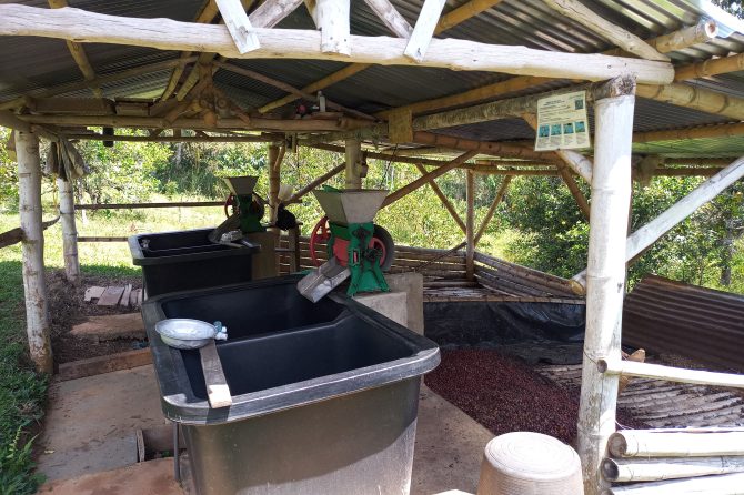 Coffee thresher
