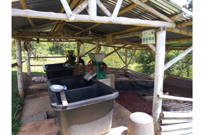 Coffee thresher in the Dagua River Basin: enhancing efficiency in coffee processing