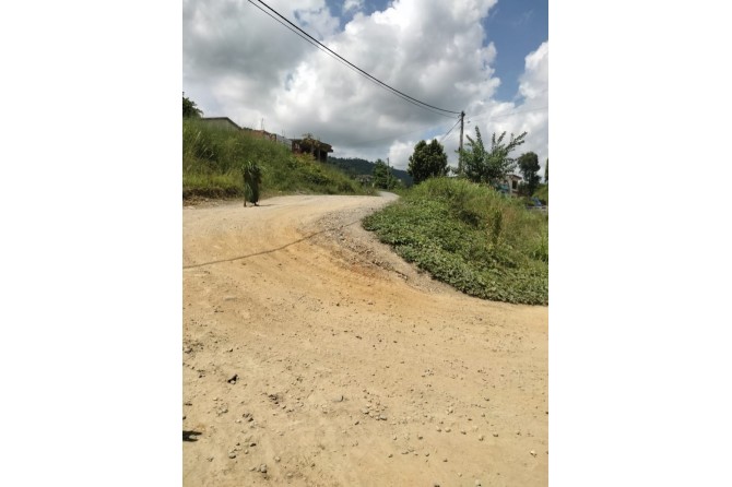 Gravel access road to the market