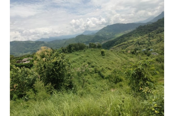 Landscape of the project site with fallow lands, potential for cultivation