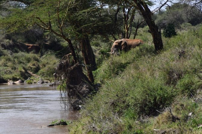 Isiolo Sepl. Ewaso Nyiro river