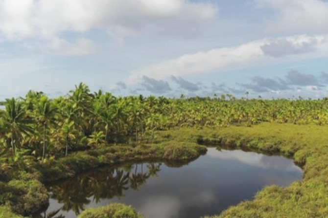 Manuae freshwater pond (this type of ecosystem is extremely rare on coral atolls)