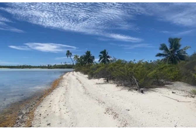 Manuae lagoon shore landscape