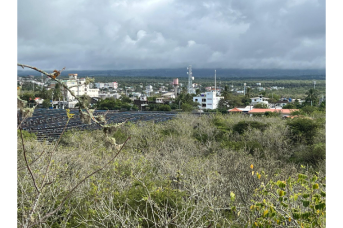 Open/Green Space on the edge of urban area – biodiversity and renewable Energy