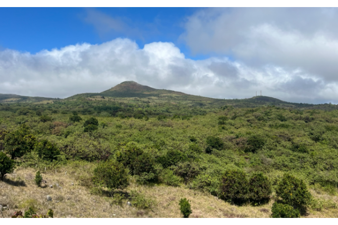 Rural and highland landscape – agroecosystem