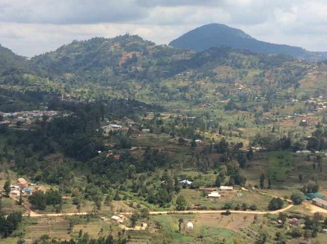 Vuria forest (with communication masks) with Taita Hills behind Werugha Trading centre