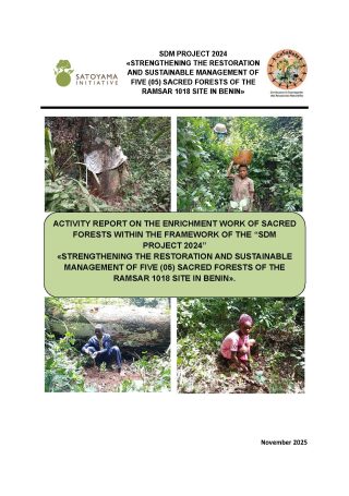 Activity Report on the Enrichment Work of Sacred Forests within the Framework of the “SDM Project 2024”