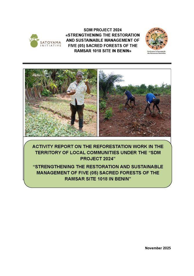 Activity Report on the Reforestation Work in the Territory of Local Communities under the “SDM Project 2024”