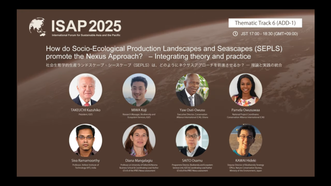 How do Socio-Ecological Production Landscapes and Seascapes (SEPLS) promote the Nexus Approach? – Integrating theory and practice